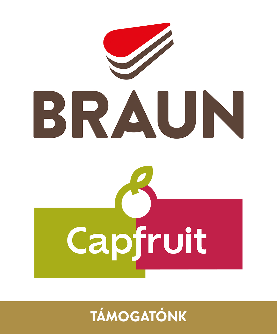 Martin Braun támogató OLDALRA